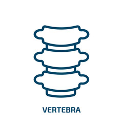 vertebra icon from medical collection. Thin linear vertebra, human, health outline icon isolated on white background. Line vector vertebra sign, symbol for web and mobile - obrazy, fototapety, plakaty