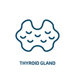 thyroid gland icon from medical collection. Thin linear thyroid gland, thyroid, health outline icon isolated on white background. Line vector thyroid gland sign, symbol for web and mobile