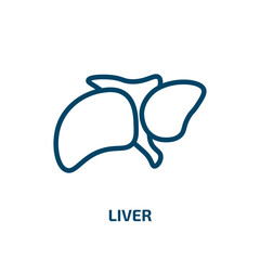 liver icon from medical collection. Thin linear liver, stomach, body outline icon isolated on white background. Line vector liver sign, symbol for web and mobile