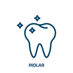 molar icon from medical collection. Thin linear molar, science, education outline icon isolated on white background. Line vector molar sign, symbol for web and mobile