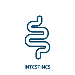 intestines icon from medical collection. Thin linear intestines, stomach, organ outline icon isolated on white background. Line vector intestines sign, symbol for web and mobile