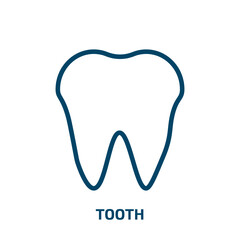 tooth icon from medical collection. Thin linear tooth, human, health outline icon isolated on white background. Line vector tooth sign, symbol for web and mobile