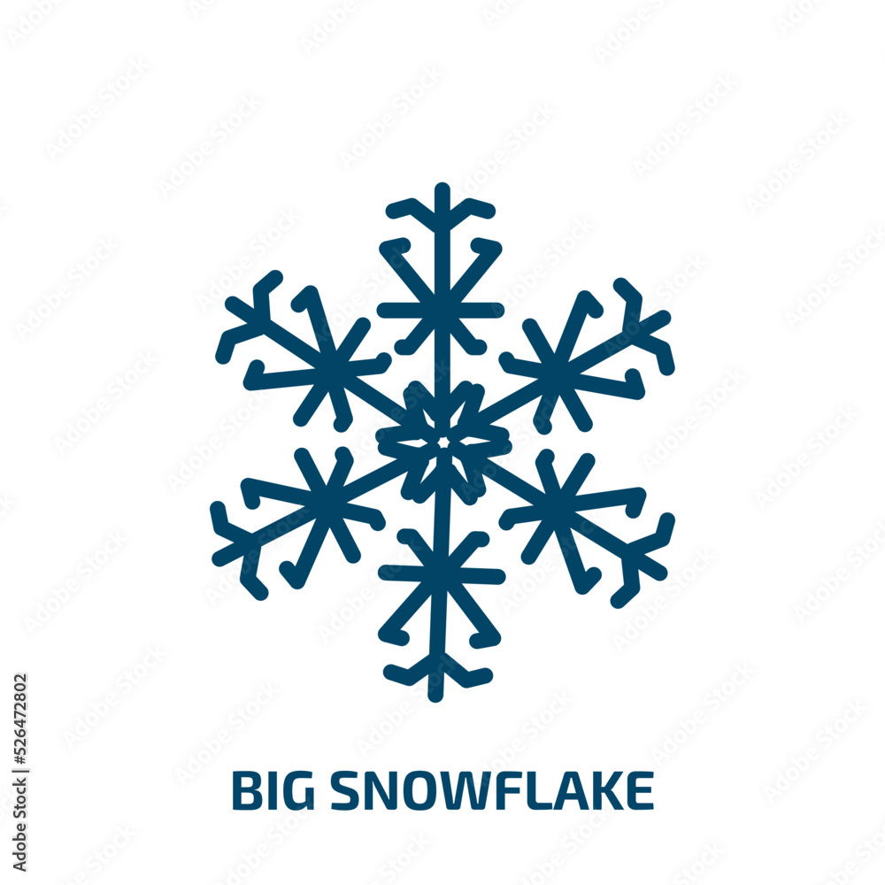 Poster big snowflake icon from nature collection. thin linear big snowflake, snowflake, snow outline icon i