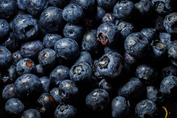blueberries close up water drops
