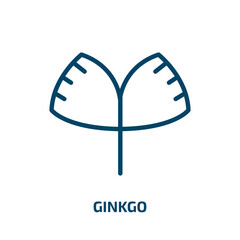 ginkgo icon from nature collection. Thin linear ginkgo, nature, leaf outline icon isolated on white background. Line vector ginkgo sign, symbol for web and mobile