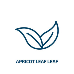 apricot leaf leaf icon from nature collection. Thin linear apricot leaf leaf, fruit, summer outline icon isolated on white background. Line vector apricot leaf leaf sign, symbol for web and mobile