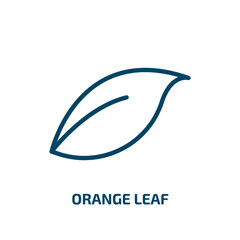 orange leaf icon from nature collection. Thin linear orange leaf, leaf, natural outline icon isolated on white background. Line vector orange leaf sign, symbol for web and mobile