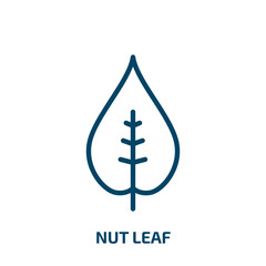 nut leaf icon from nature collection. Thin linear nut leaf, leaf, food outline icon isolated on white background. Line vector nut leaf sign, symbol for web and mobile