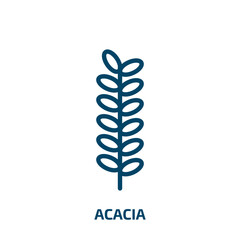 Fototapeta na wymiar acacia icon from nature collection. Thin linear acacia, tree, plant outline icon isolated on white background. Line vector acacia sign, symbol for web and mobile