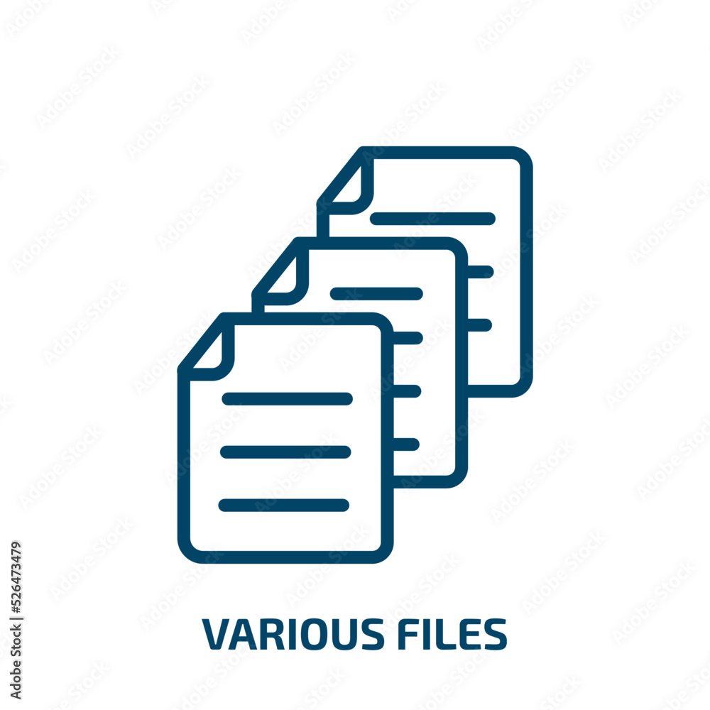 Poster various files icon from education collection. Thin linear various files, document, file outline icon isolated on white background. Line vector various files sign, symbol for web and mobile