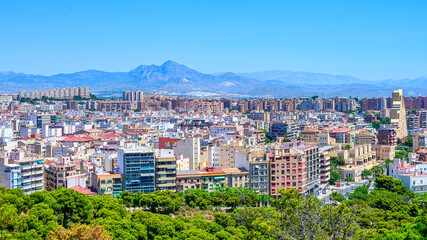Fototapeta premium Alicante cityscape or skyline in Spain
