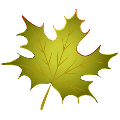 Isolated autumn leaf. On a white background. Vector decorative illustration.