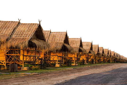 Isolate rows of thatched bamboo huts, shacks with thatch roofs sunlight shining through the room.