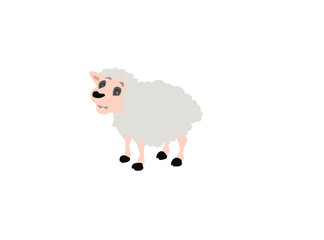sheep and lamb