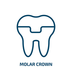molar crown icon from dentist collection. Thin linear molar crown, medical, molar outline icon isolated on white background. Line vector molar crown sign, symbol for web and mobile