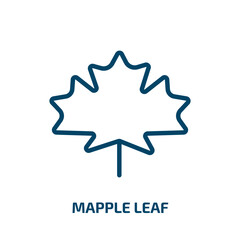 mapple leaf icon from ecology collection. Thin linear mapple leaf, mapple, decoration outline icon isolated on white background. Line vector mapple leaf sign, symbol for web and mobile