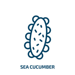 sea cucumber icon from food and restaurant collection. Thin linear sea cucumber, sea, fresh outline icon isolated on white background. Line vector sea cucumber sign, symbol for web and mobile