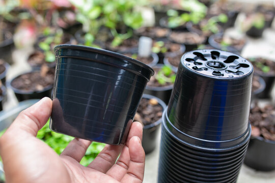 Black Plastic Flower Pots, Garden Background.