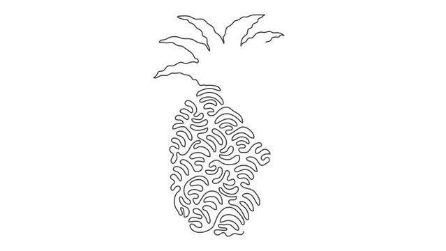 Animated self drawing of continuous line draw whole healthy pineapple organic for orchard logo. Fresh summer fruitage concept for fruit garden icon. Swirl curl style. Full length single line animation