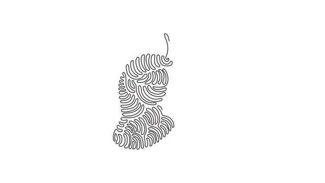 Self drawing animation of single one line draw healthy organic mango for logo. Fresh tropical fruitage concept for fruit garden icon. Swirl curl style. Continuous line design. Full length animated.