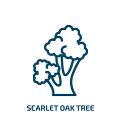 scarlet oak tree icon from nature collection. Thin linear scarlet oak tree, forest, oak outline icon isolated on white background. Line vector scarlet oak tree sign, symbol for web and mobile