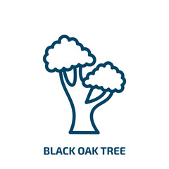 black oak tree icon from nature collection. Thin linear black oak tree, forest, oak outline icon isolated on white background. Line vector black oak tree sign, symbol for web and mobile