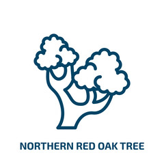 northern red oak tree icon from nature collection. Thin linear northern red oak tree, oak, tree outline icon isolated on white background. Line vector northern red oak tree sign, symbol for web and