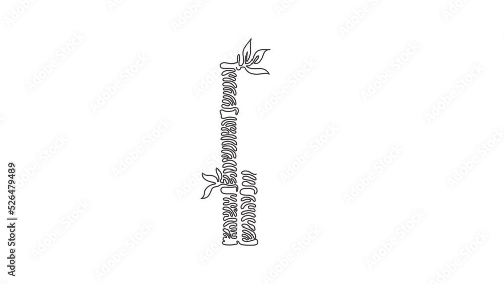 Poster self drawing animation of single line draw bamboo trees for plantation logo. fresh evergreen perenni