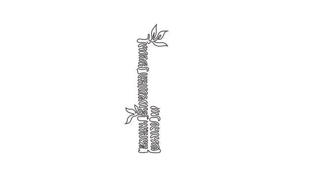 Self drawing animation of single line draw bamboo trees for plantation logo. Fresh evergreen perennial flowering plant concept for icon. Swirl curl style. Continuous line draw. Full length animated.