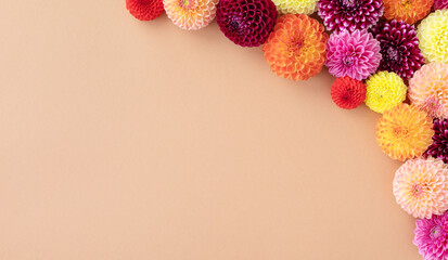 Colorful autumn dahlia flowers on pastel table with copy space for your text top view and flat style. Banner format.