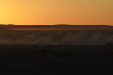 Elimdüne im Schein der untergehenden Sonne im Namib-Naukluft-Park in Namibia. 