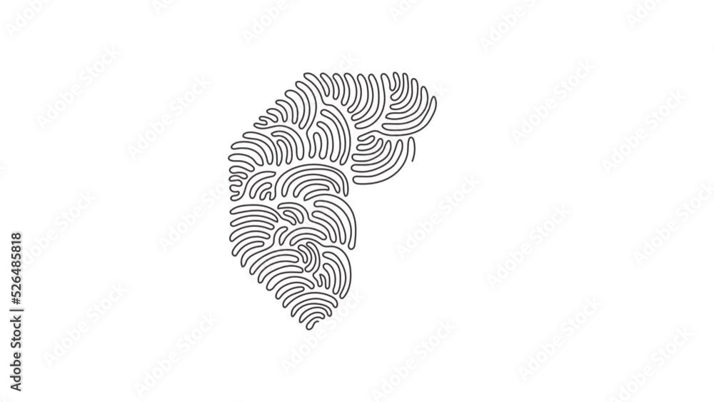 Poster animated self drawing of continuous line draw hand drawn octagon, drawing frame isolated on white ba