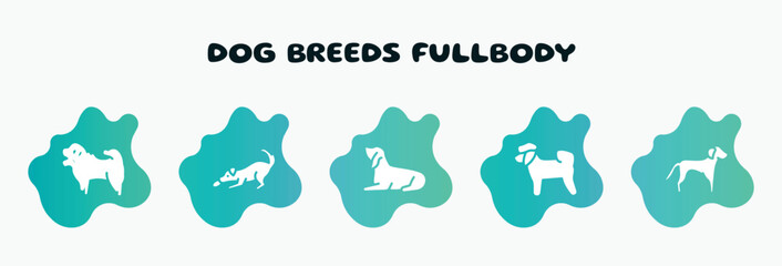 dog breeds fullbody filled icons set. flat icons such as dogs playing, bas houd, bichon, springer spaniel, shih tzu icon collection. can be used web and mobile.