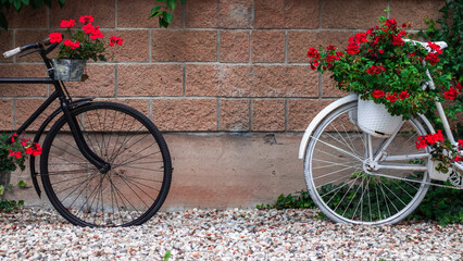 Fototapeta na wymiar bicycle and flowers in the street
