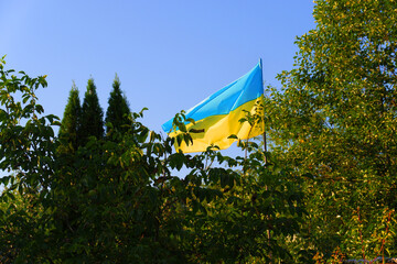National flag of Ukraine. Yellow-blue flag. The symbol of the Ukrainian nation. Independent Ukraine. Ukrainian flag is blowing in the wind