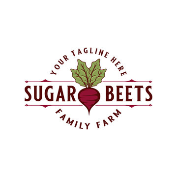 Vintage beet vector logo design. fresh beet concept in retro style. suitable for any kind of business beet, vegetable or produce.