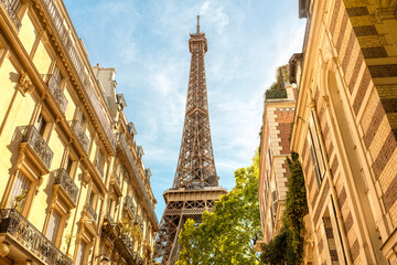 Eiffel Tower Paris with parisian houses architecture