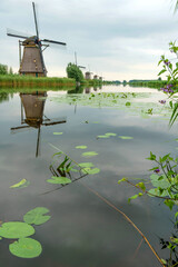 Naklejka premium landscape with a windmill, Kinderdijk