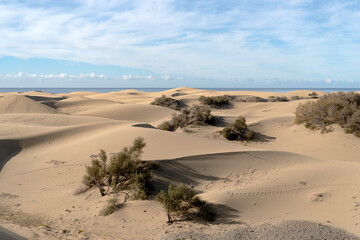 Maspalomas Dunes in Gran Canaria, Canary Islands, Spain