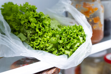 Green lettuce leaves lie in the refrigerator, close-up. Vegan food. Storing food in the...