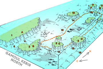Diving-site-Gamoul-Kebir-North-Safaga-Egypte-Divingaway