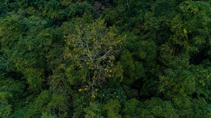 Aerial view of the Morogoro rock garden in  Tanzania