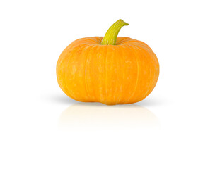 One yellow pumpkin isolated on a white background