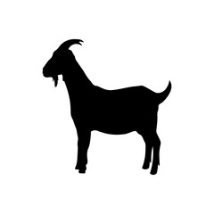 Vector illustration of a black goat