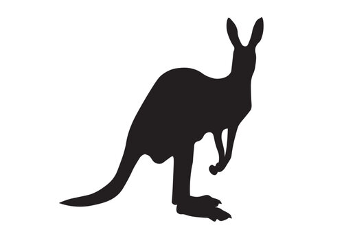 Vector illustration of a black kangaroo