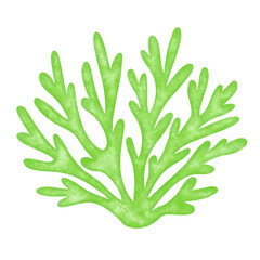 green seaweed leaf watercolor illustration © Wynnys Sa
