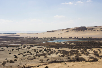 Fototapeta na wymiar Magic lake - Fayoum Desert - Egypt