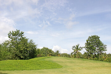 Landscape view across grassy hill to green tropical trees and a blue sky background. Southeast Asia, no people.