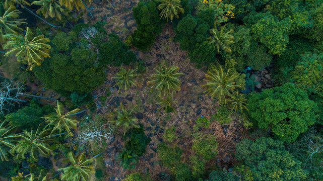 Aerial view of the Morogoro rock garden in Tanzania © Moiz