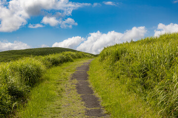 秋吉台の砂利道
